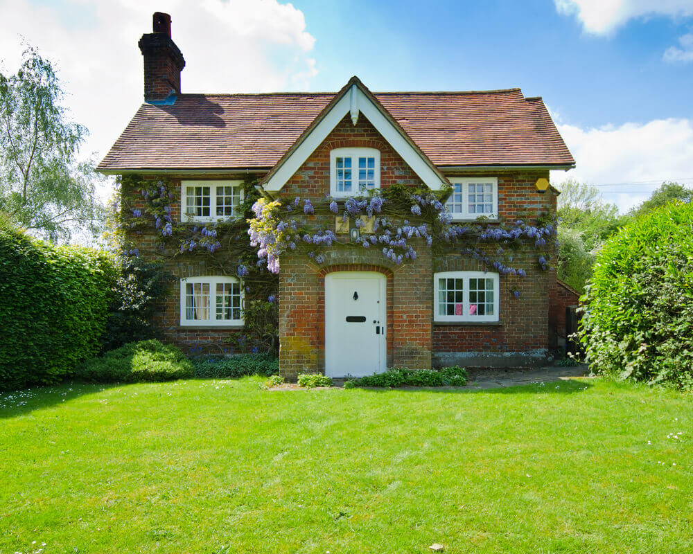 A gorgeous house with wisteria growing over the facade