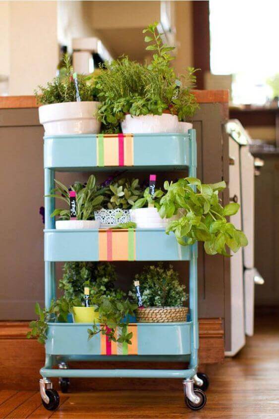 flowerpot ideas nature
