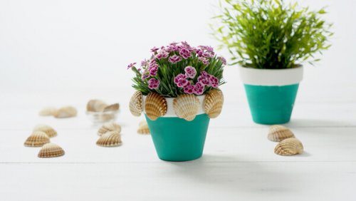 A flowerpot with conches.