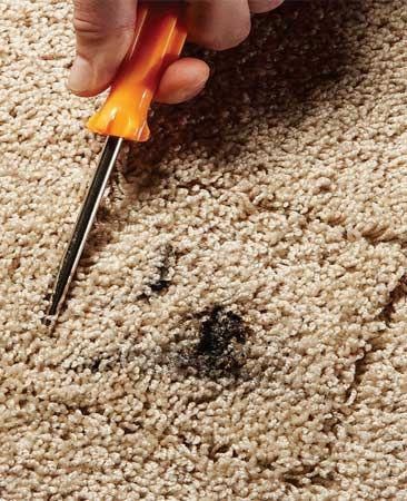 home repairs carpet