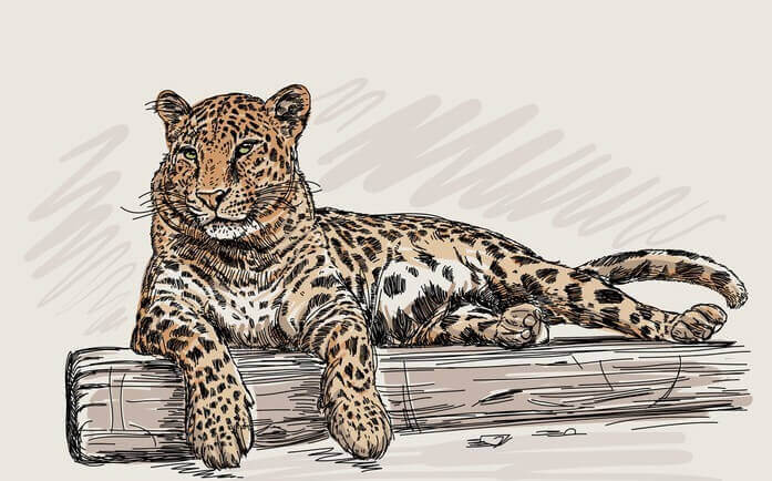 leopard print wall decor