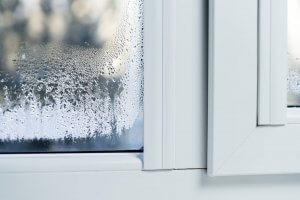 Condensation on a window. 
