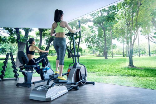 One of the first bioclimatic gyms created, located in Mexico.