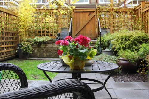 How to Transform your Yard into a Luxury Garden