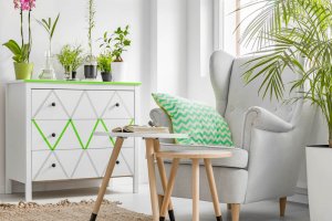 Plant and Flower Combos to Enhance Your Decor