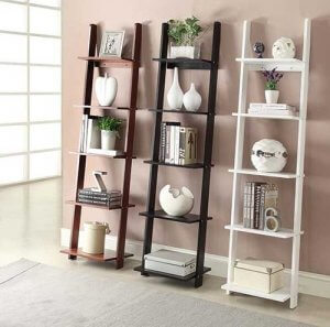 Ladder bookshelves.