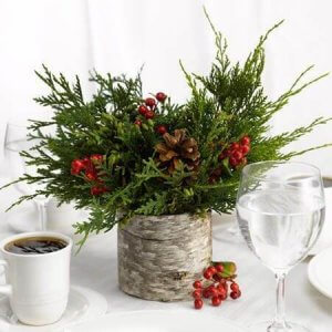How To Use Mistletoe In Interior Decor