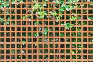 Garden trellis vertical garden.