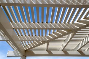 Garden trellis roof.