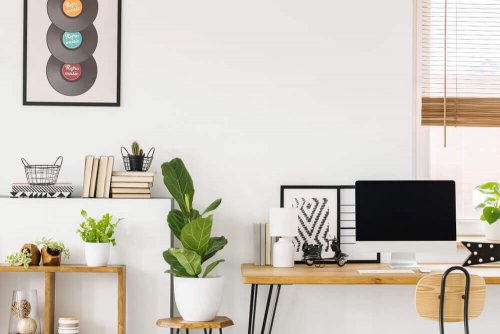 Feng Shui Tips for Your Home Office