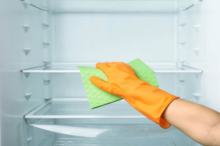Clean the fridge and throw out any old expired food