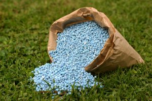 Fertilizing is essential for a beautiful garden.