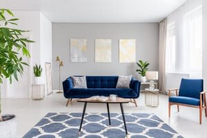 A cute dark blue couch in a sunny living room