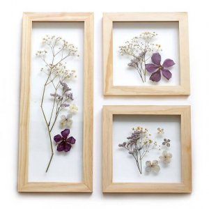 Pressed flowers in a frame