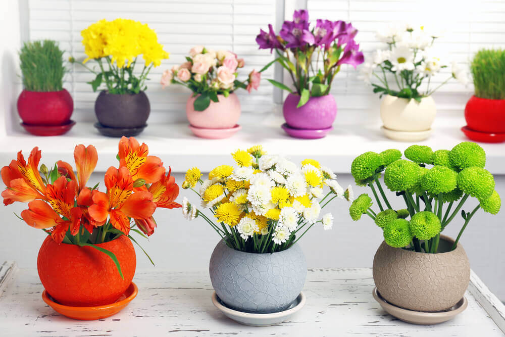 Flower pots and flowers of the fresh color palette for the summer.