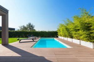 The Best Trees to Create a Fantastic View