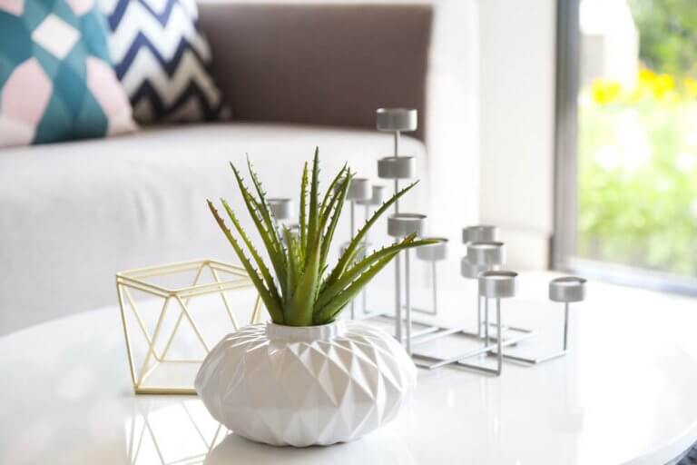 Wonderful Ideas to Make Your Coffee Table Look Amazing