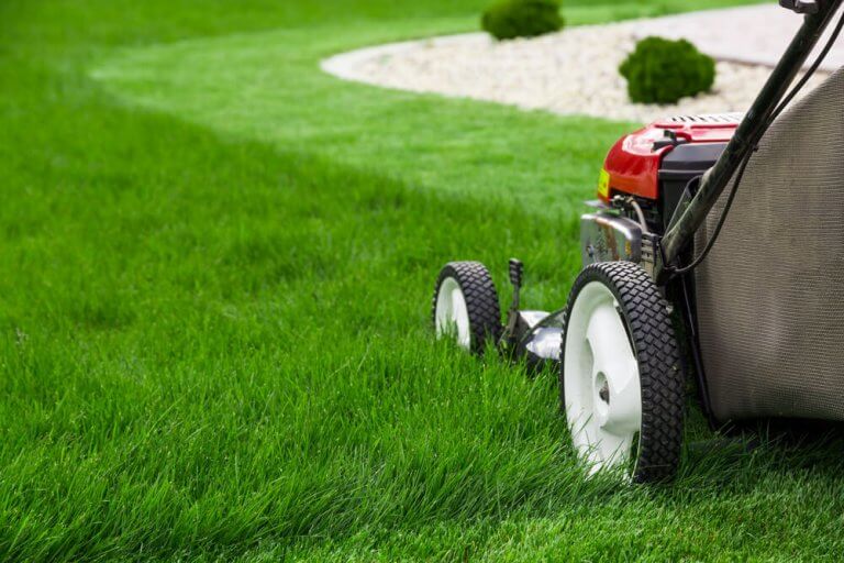 The Best Lawnmowers for Your Garden