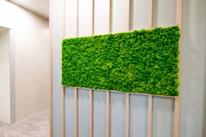 moss walls benefits