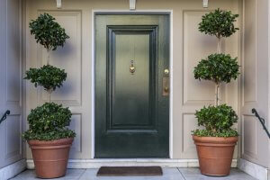 Place plants outside your front door to make the main entrance more homely.