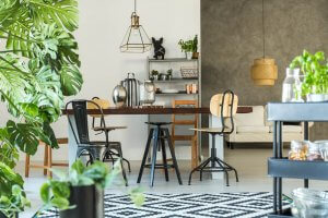 The Perfect Plants for Every Room of Your Home