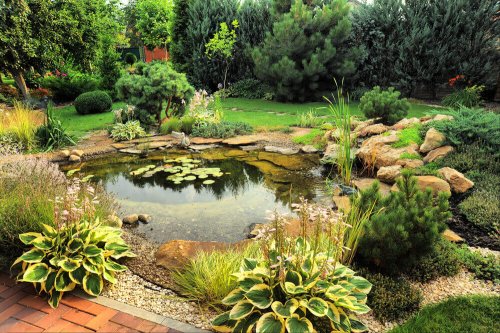 3 Types of Yard Ponds You’ll Love