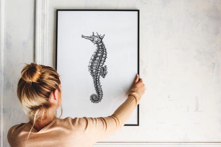 Decorating Your Home With Seahorses