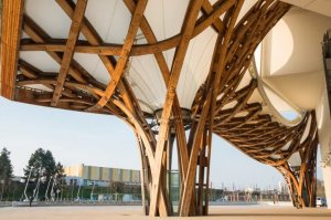 Shigeru Ban and His Cardboard Architecture