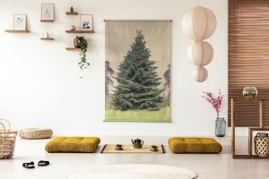 A wabi sabi style living room.