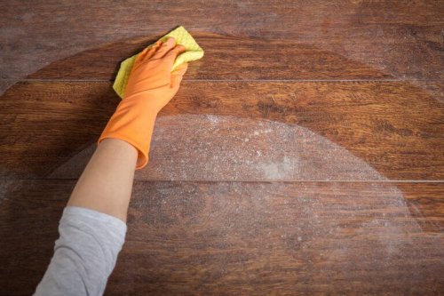 Learn the Best Way to Eliminate Dust