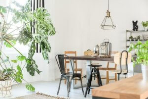 Interior Design Using Plants as Decoration