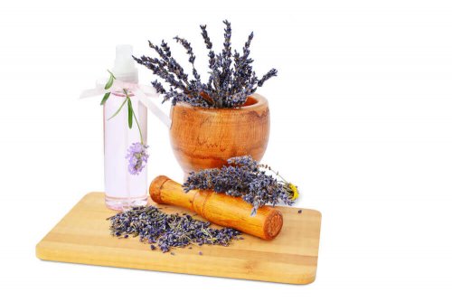 Lavender in a pot and spray bottle.