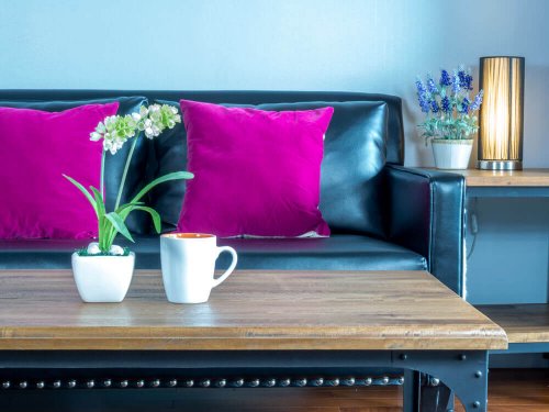 The color magenta reflected in cushions on a leather couch.