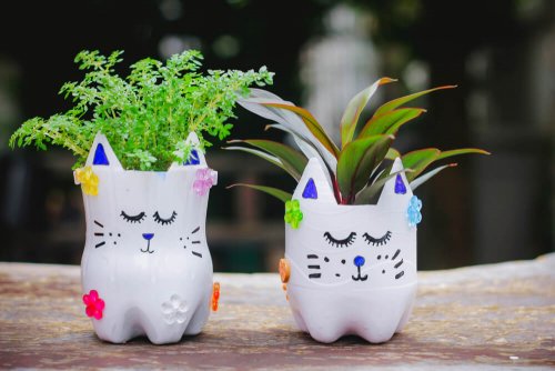 Planters made from recycled bottles are an example of sustainable decoration.