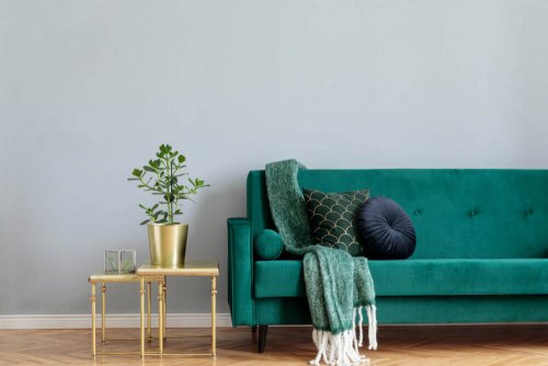Green velvet sofa with soft fabric