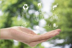 Sustainable Decoration - Decor for a Better Planet