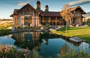 The Pros and Cons of Natural Swimming Pools