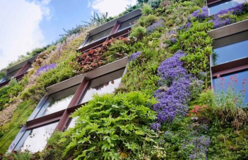 A building with a living wall.