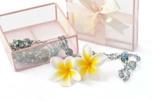 A see-through jewelry box.