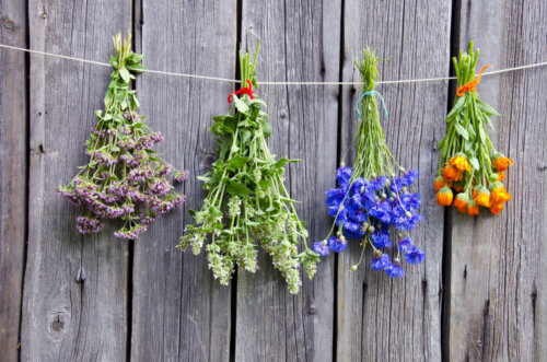 A line with multiple fragrances from the aromatic flowers in the process of drying.
