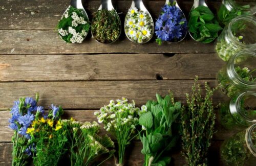 An assortment of herbs.