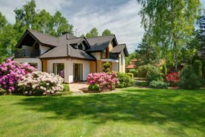 How to Care For and Prune Trees in Your Garden