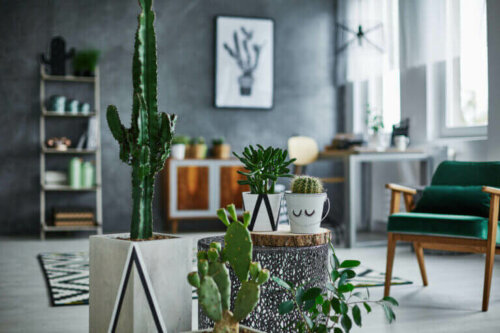 10 Out-Of-Style Decor Trends You Should Know About