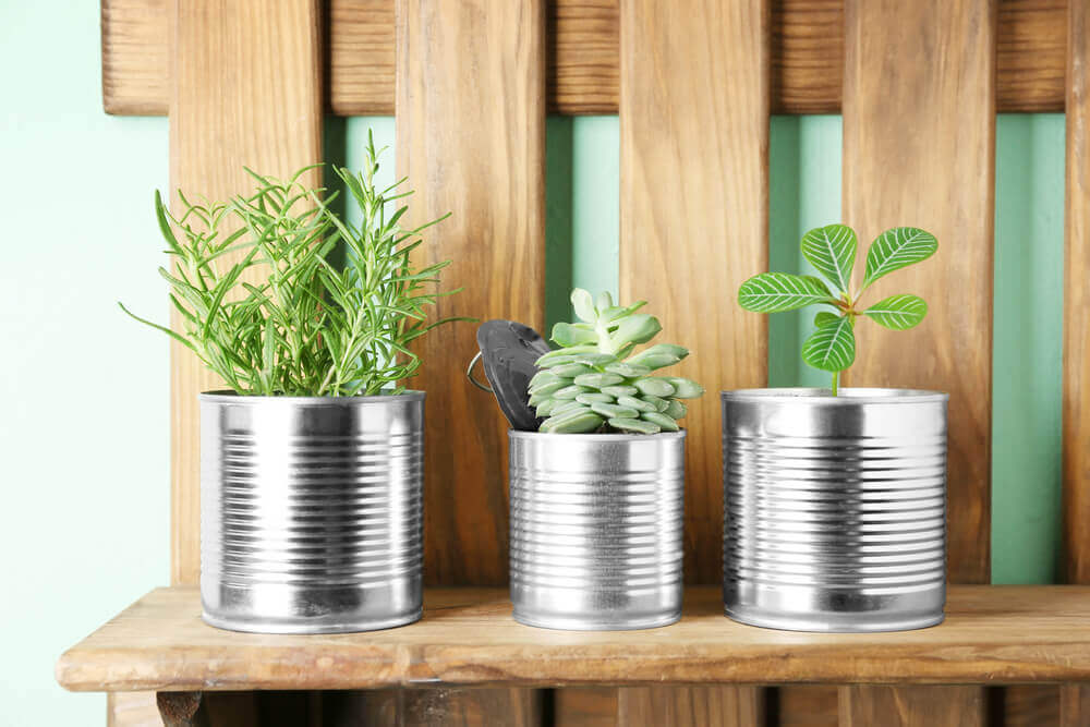 Planters made out of cans.