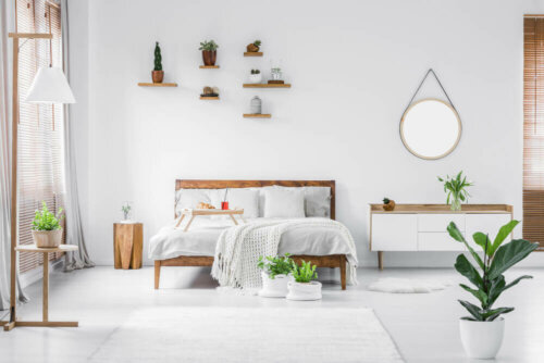 Plants in the bedroom