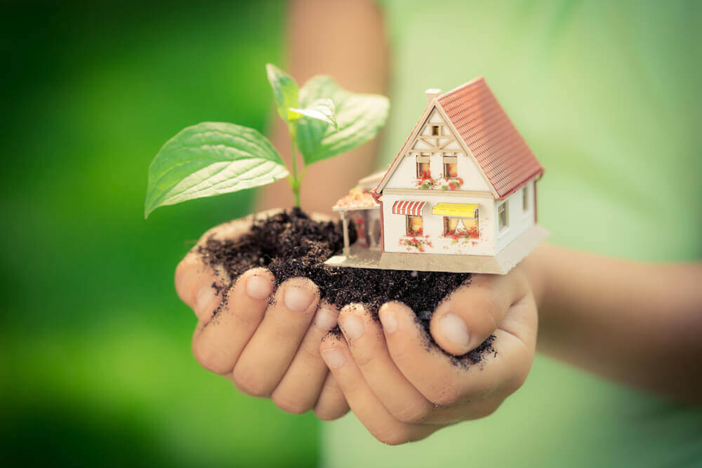 Hands holding a house and plant against a green background.