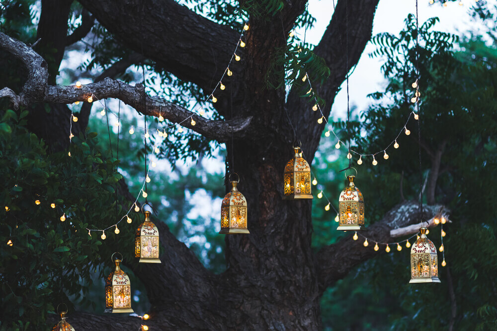 Lanterns hanging from a tree.