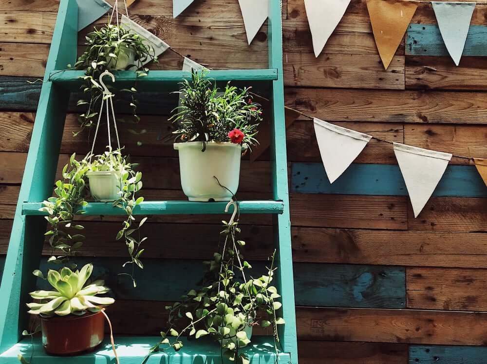 A ladder full of outdoor plants.