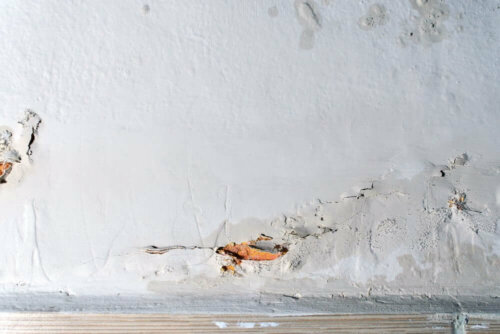 How moisture affects the clothes in your closet.