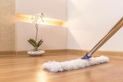A mop cleaning a wooden floor.